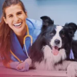 Veterinary Care